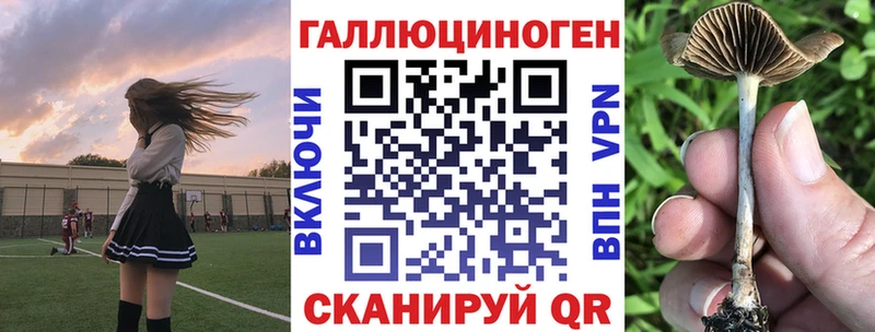 Псилоцибиновые грибы MAGIC MUSHROOMS  Ряжск 